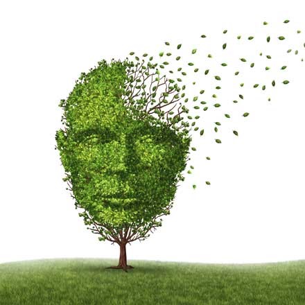MINDSET EN MENTALE FITHEID